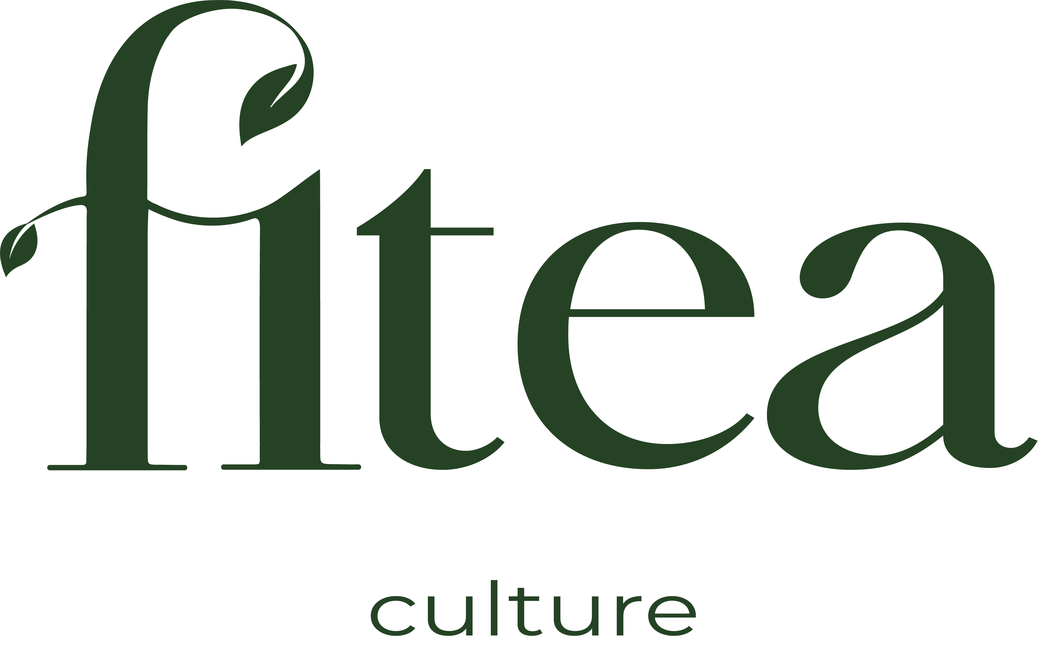 fitea logo